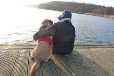 Der PTBS-Soldatenhund