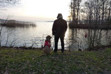 Der PTBS-Soldatenhund