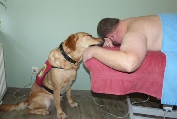 Der PTBS-Soldatenhund