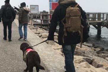 Der PTBS-Soldatenhund