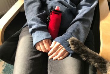 Der PTBS-Soldatenhund