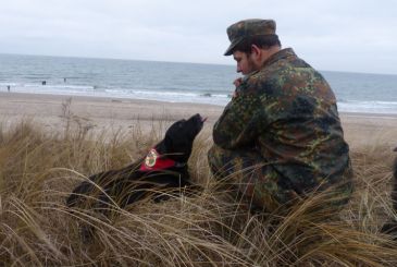 Der PTBS-Soldatenhund