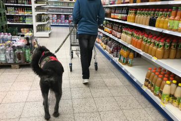 Der PTBS-Soldatenhund