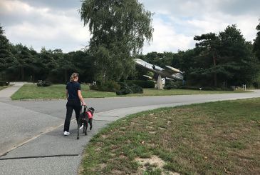 Der PTBS-Soldatenhund