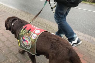 Der PTBS-Soldatenhund