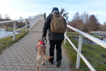 Der PTBS-Soldatenhund