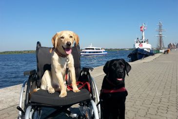 Emil & Therapiehund Dolly